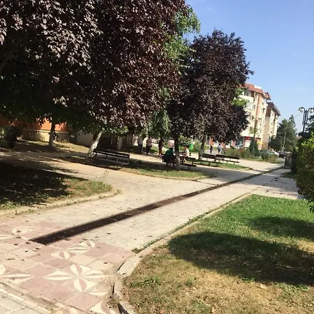 Cozy Park In Center, Apartment Campina